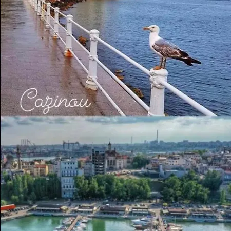 Studio-maria * Navodari