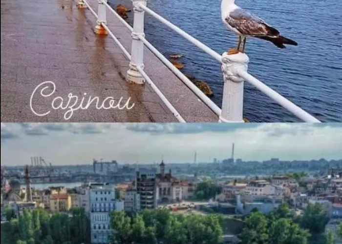 Studio-maria * Нэводари