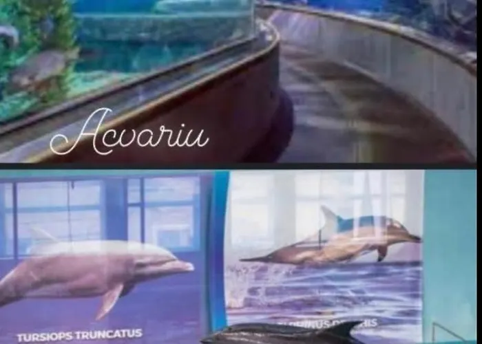 Studio-maria Апартаменты Нэводари